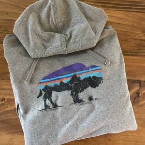 Patagonia Hoodie